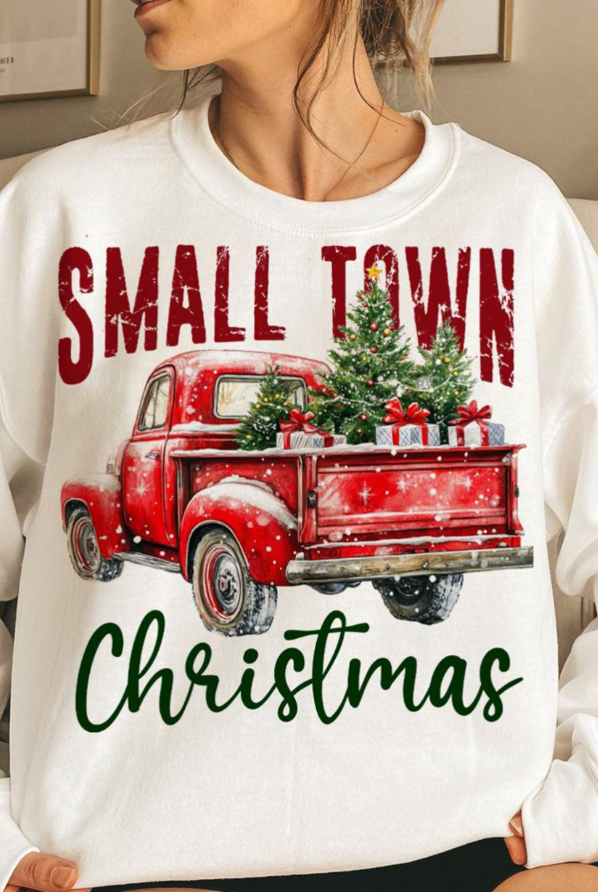 "Small Town Christmas" Tee/Sweatshirt