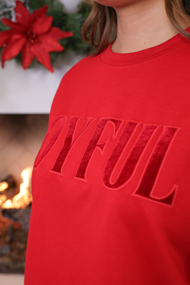 PREORDER- Joyful Velvet Patch Luxe Pullover