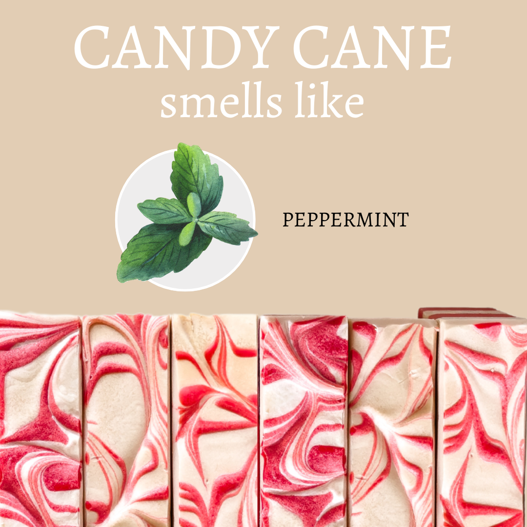 Christmas Peppermint Candy Cane Handmade Soap Bar - 4oz